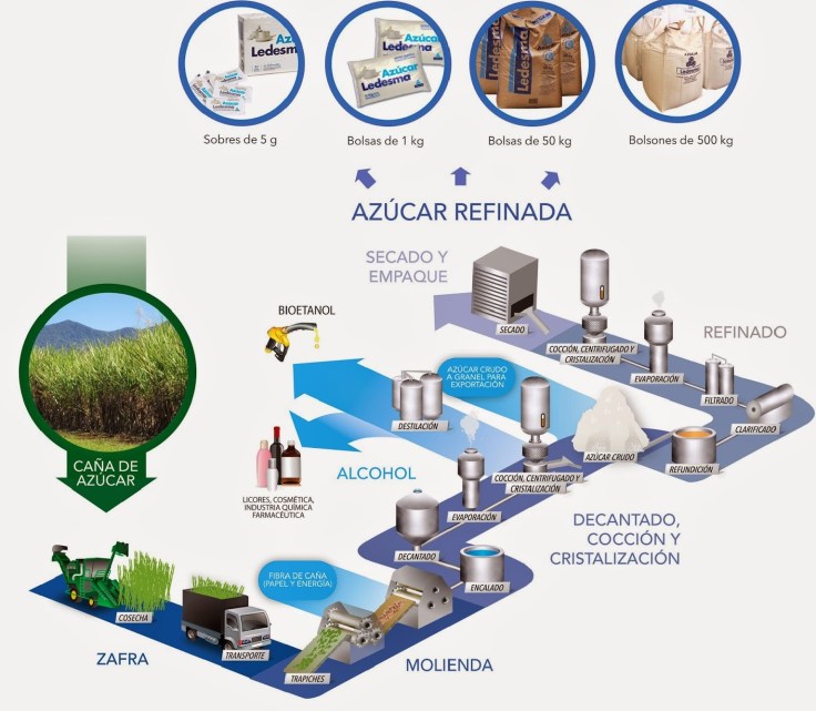 proceso-azacar-3d-11